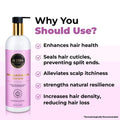 Onion and Black Seed Oil Shampoo with Rosemary Extract, Jojoba oil and Moringa Oil- Lengthening and Nourishing- 500 ML - ALZIBA CARES